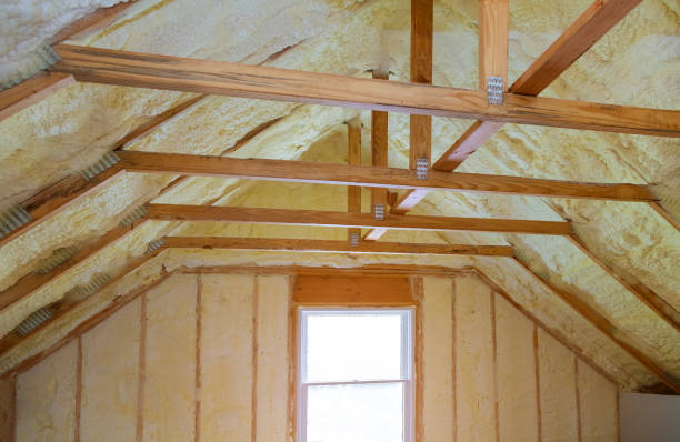 Best Eco-Friendly Insulation in , NM