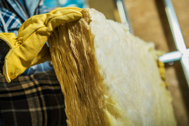 Best Cellulose Insulation in , NM