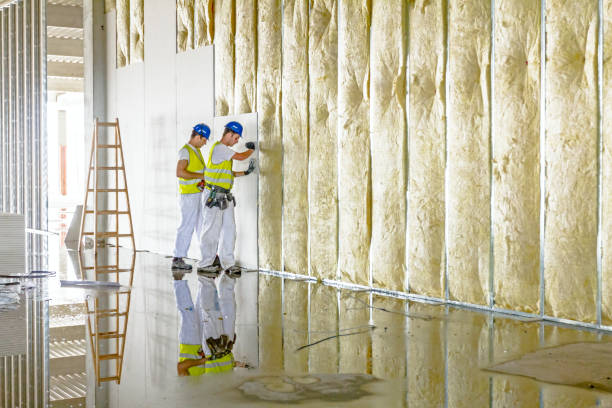 Best Spray Foam Insulation in , NM